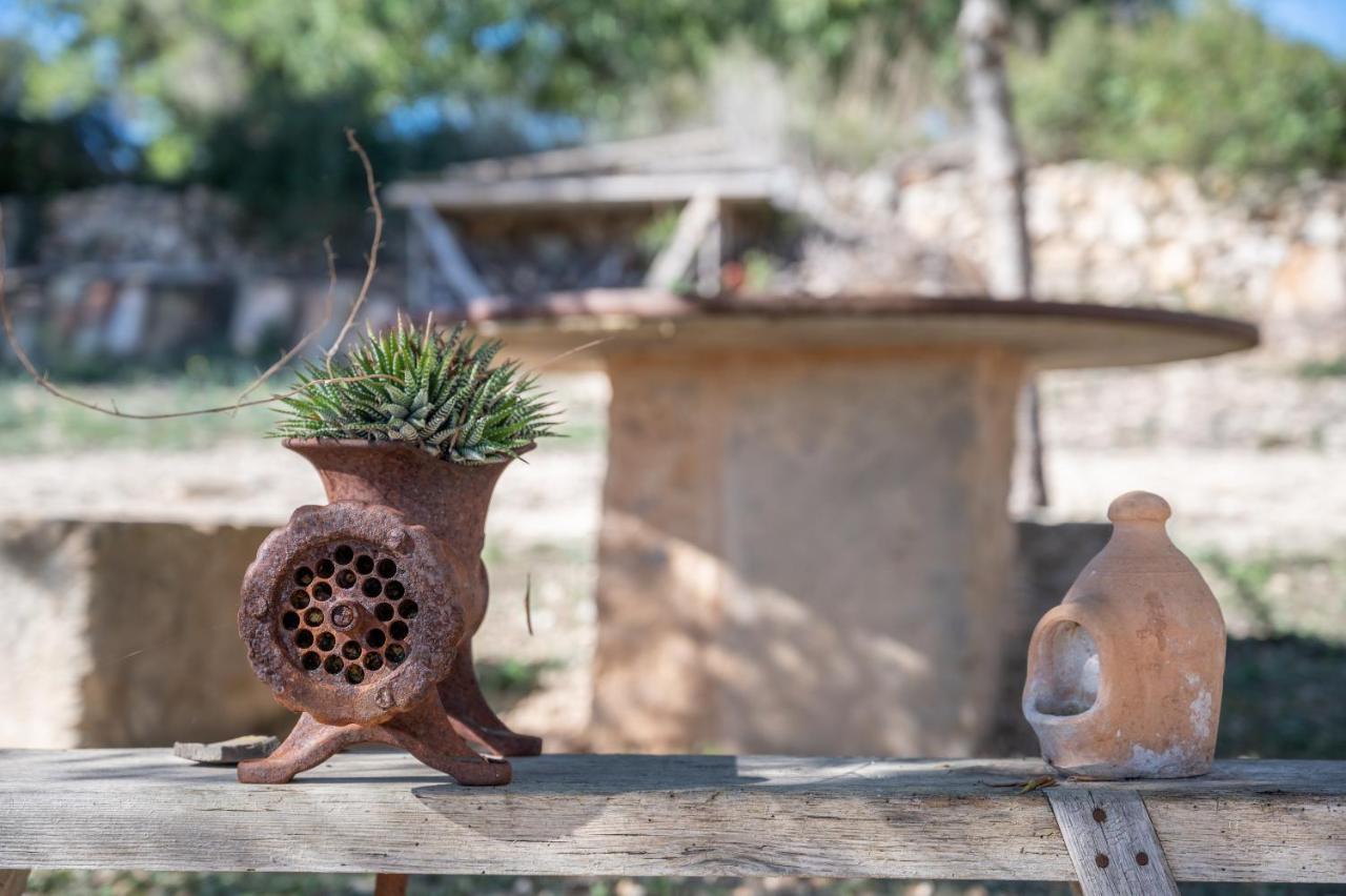 Son Pusseta Villa Petra  Luaran gambar